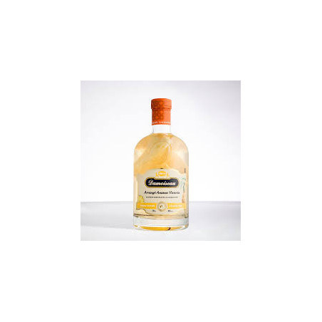 DAMOISEAU - RHUM ARRANGÉ - ANANAS VANILLE - 30% - 70CL