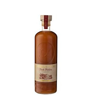LONGUETEAU - PUNCH PLANTEUR - 16% - 1L
